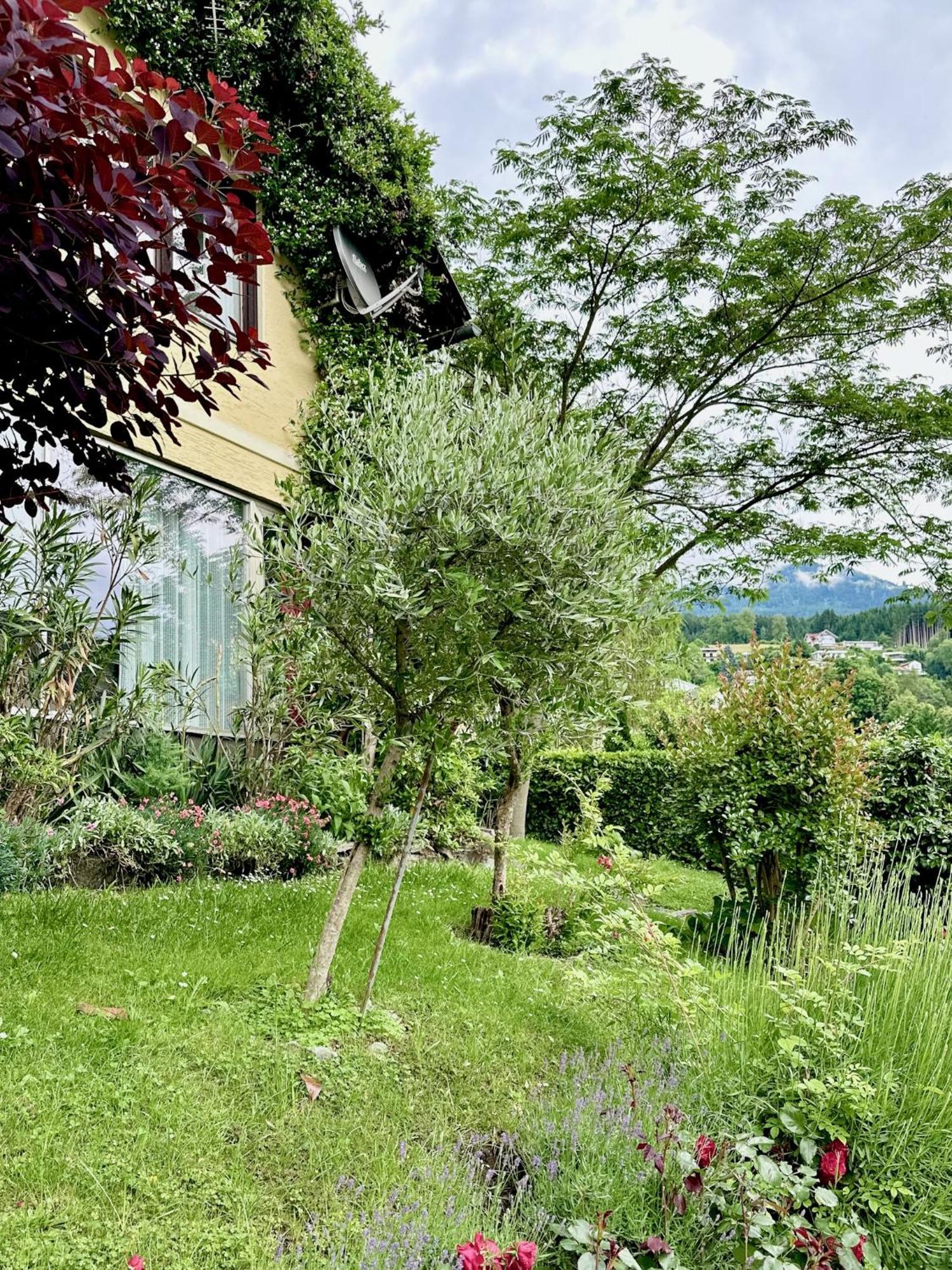 Bed and Breakfast Haus Marianne Millstatt Exterior foto